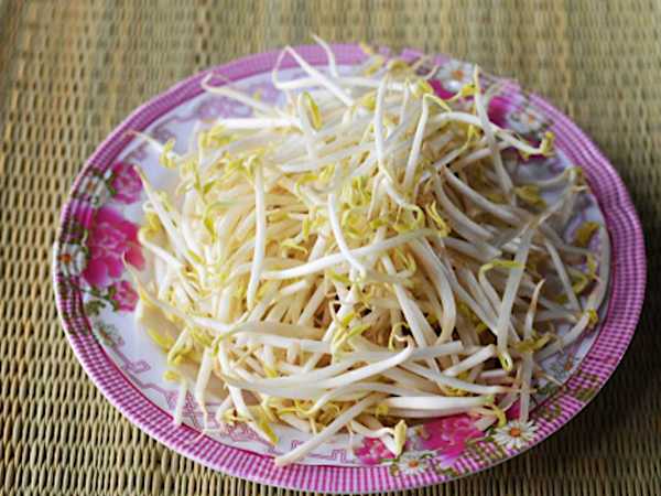 貯金0借金310万円の私を救ってくれた方法はこちら