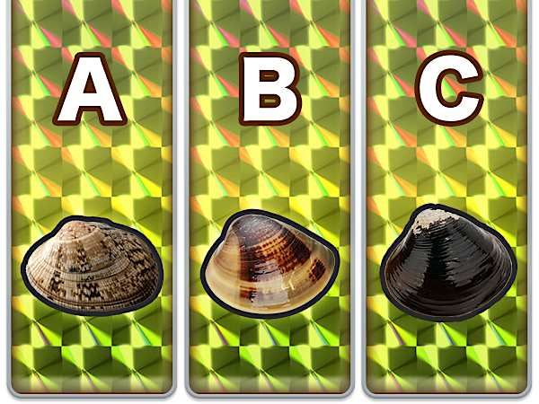 この中でしじみはどれ？正解をタップ