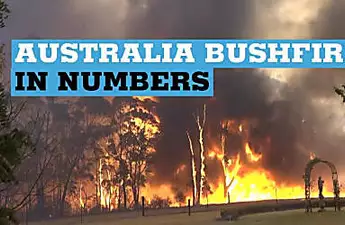 Australia bushfires in numbers