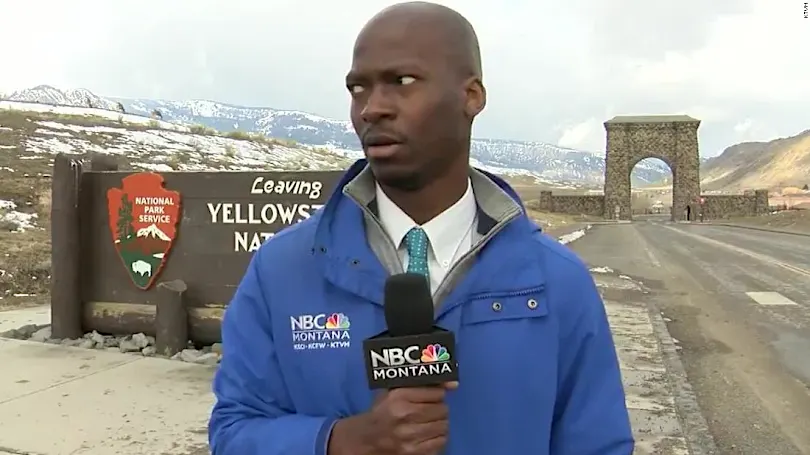 Bison hilariously interrupt reporter's stand up