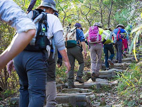 山に挑む脚力を!筋力と関節にうれしいお知らせ