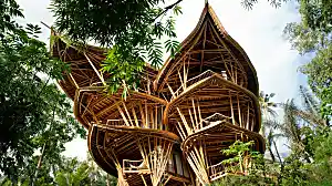 The beautiful homes made from bamboo