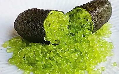 L'alga che usano i Giapponesi per sgonfiare il corpo e bruciare i grassi