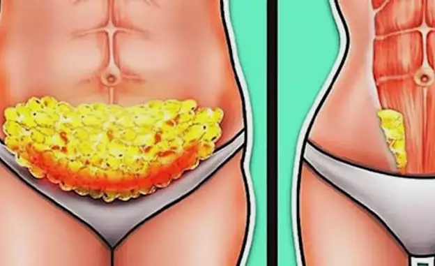 Eine Tasse morgens –11 kg Fett in nur 7 Tagen schmelzen lassen