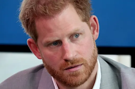 [Pics] Prince Harry Has Been Told His Fate Once Charles Becomes King