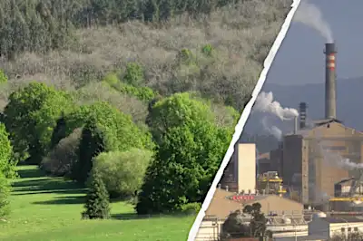 Únete contra la megafábrica de celulosa en Galicia. Únete a la petición