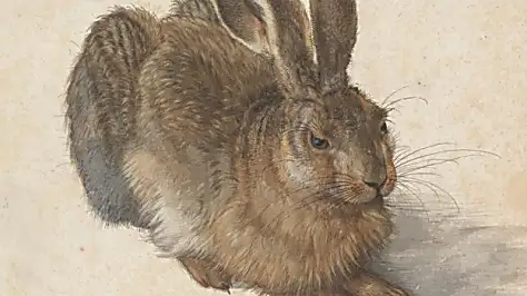 Albrecht Dürer: The painter with 'a magical touch'