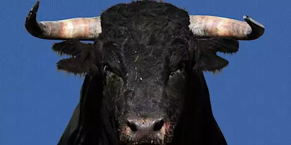 Novo estimulante natural vira febre no Brasil