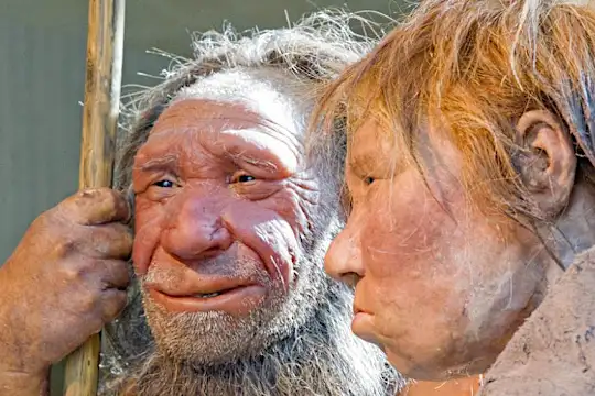 Study: Neanderthal genes could increase risk for severe COVID-19