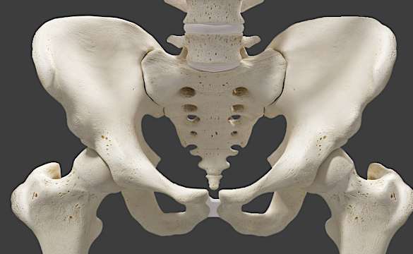 牛乳メーカーが遂に発見！骨密度を半年で高める注目成分