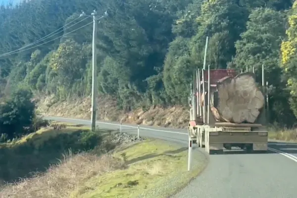 The Observers - Video of a huge tree on a logging truck draws attention to deforestation in Tasmania