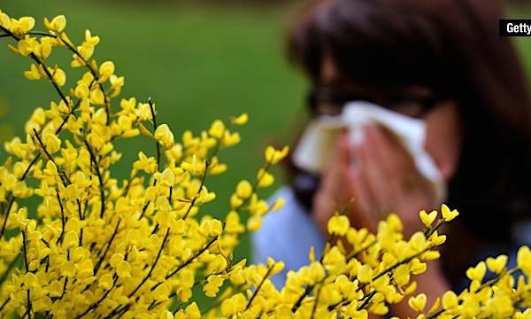 Allergies and coronavirus: What you need to do now to protect your lungs Allergies and coronavirus: What you need to do now to protect your lungs