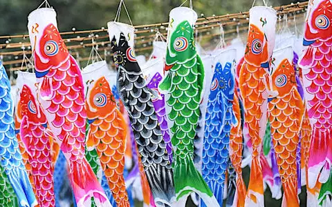 日本兒童節室內小型鯉魚旗在城市地區廣受歡迎