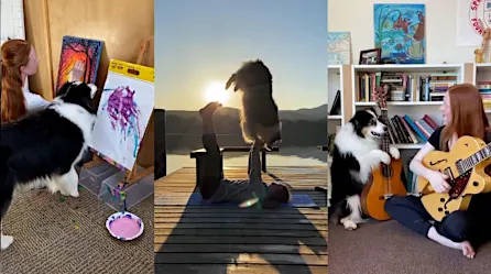 Es viral: esta perra toca la guitarra, pinta y hace yoga | Video