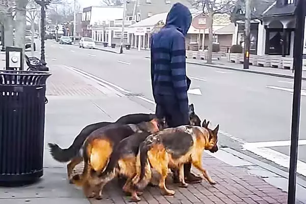 Man walks his dogs daily, until people discover he hides an unbelievable secret!