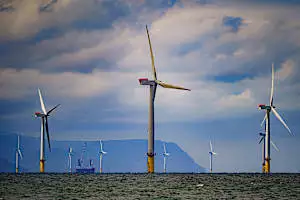 Poll suggests most Reform UK voters back investment in renewable energy