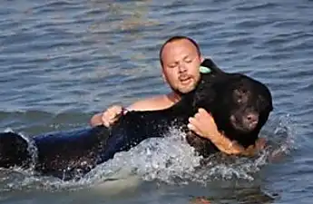 [Photos] Mama Bear Pleaded To Him To Save Her Drowning Cubs, Then This Happened