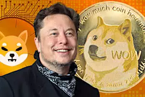 Top 3 Cryptocurrencies Owned By Elon Musk