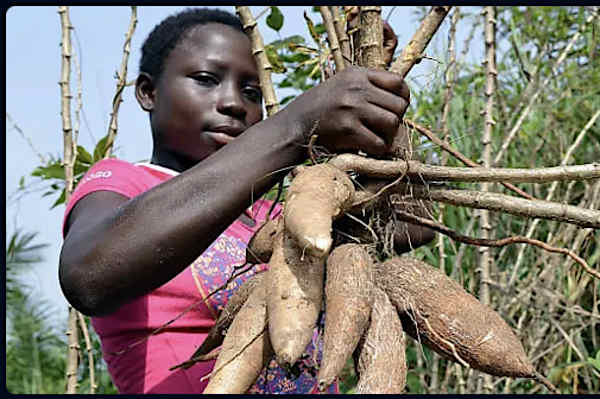 If your blood pressure is 140/90 or more, do the following every day If your blood pressure is 140/90 or more, do the following every day