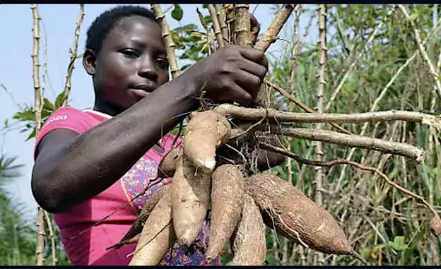 If your blood pressure is 140/90 or more, do the following every day