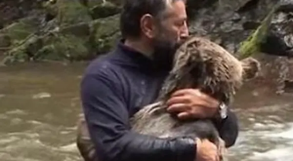 Mamãe Urso faz isso depois que o homem salva seus filhotes de afogamento.