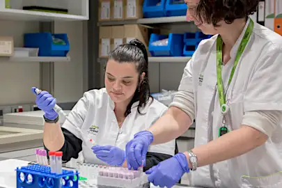 1 de cada 3 casos de Alzheimer se podría prevenir con hábitos saludables
