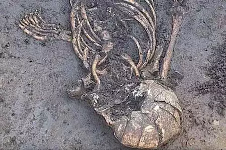Dopo 7.000 anni riemerge il misterioso scheletro di Großköllnbach Dopo 7.000 anni riemerge il misterioso scheletro di Großköllnbach