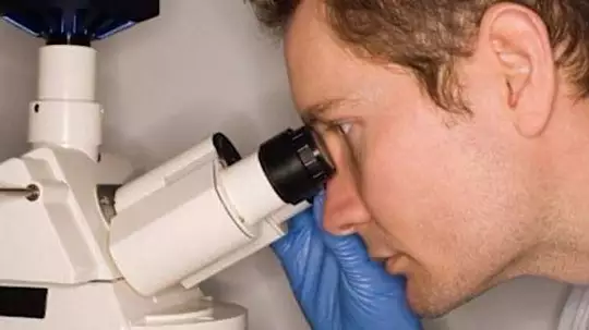 Lo studio: "Con il probiotico aumenta l'assorbimento della vitamina D"