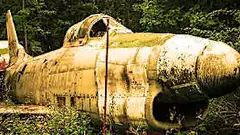 [Pics] 14-Year-Old Finds Remains of German Fighter Plane...And The Pilot