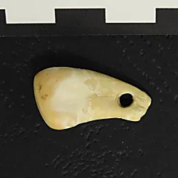 Ancient DNA from a 25,000-year-old pendant reveals intriguing details about its wearer