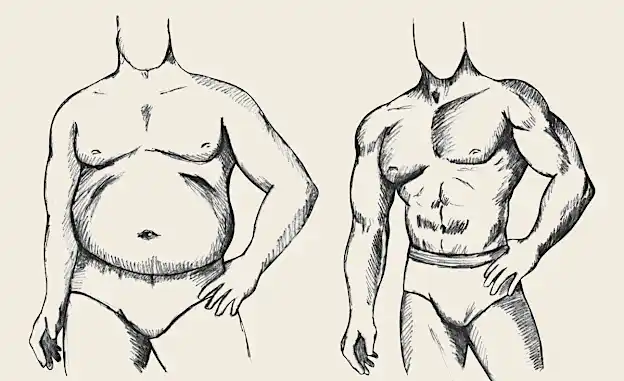 1 einzigartiger Tipp gegen Bauchfett