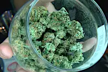 Prop 207: What proponents say they have learned from other states
