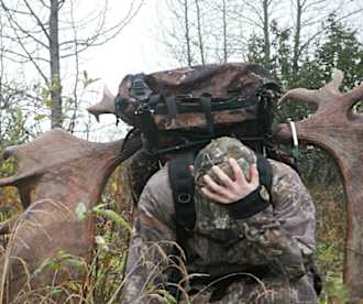 [Pics] When This Soldier Figured Out Why A Baby Moose Approached Him In The Woods His Jaw Dropped