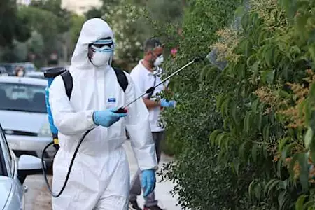 Συναγερμός λόγω ραγδαίας εξάπλωσης του ιού του Δυτικού Νείλου και στον ευρωπαϊκό βορρά