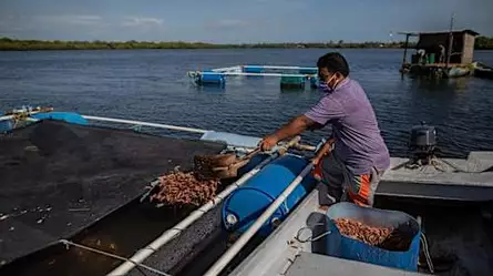 Jaulas marinas en Nicaragua, una apuesta para salvar al mar y empoderar a los pescadores