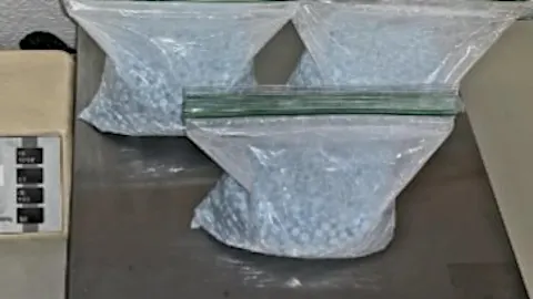 TPD: Officers seize 10K fentanyl pills, gun at traffic stop