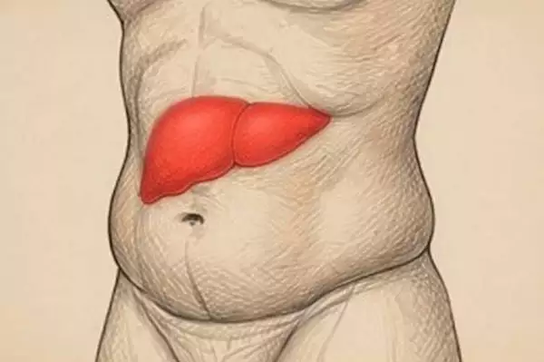 Η κοιλιά σας δεν μεγαλώνει λόγω των θερμίδων — Οι ειδικοί εξηγούν γιατί Η κοιλιά σας δεν μεγαλώνει λόγω των θερμίδων — Οι ειδικοί εξηγούν γιατί