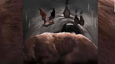 Descubren un verdadero vampiro gigante de 100.000 años en Miramar