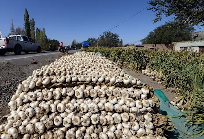 Chronique des matières premières - Coronavirus: le prix de l’ail grimpe