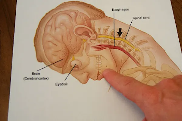 The Pillow Trick That Almost No One Uses Against Sleep Apnea