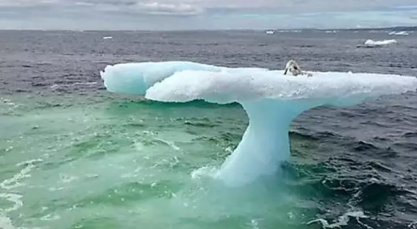 Pescadores estão em descrença depois de ver criatura em iceberg