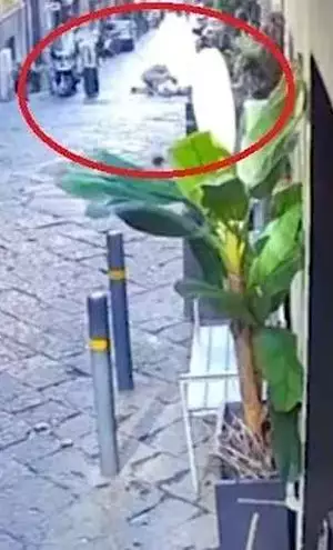 Νάπολη: 13χρονος σκότωσε τουρίστρια πετώντας άγαλμα από μπαλκόνι - Διώκονται οι γονείς του για φόνο