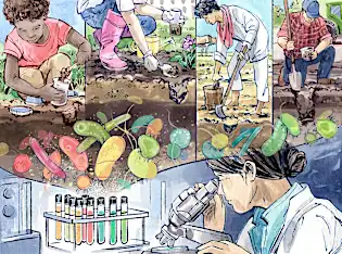 Inside the Search for New Antibiotics
