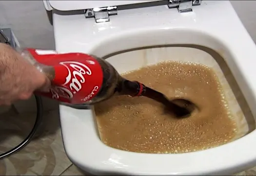 She pours half a liter of coke in the toilet, what happens then is really bizarre!