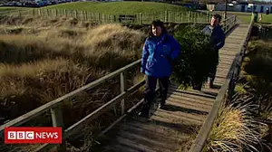 Christmas trees used to build up sand dunes