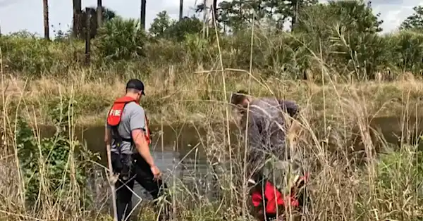 Divers search Florida park after remains found in alligator's mouth Divers search Florida park after remains found in alligator's mouth