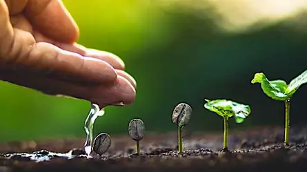 5 Steps of Evolution in Predictive Analytics