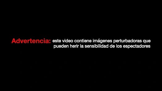 Nuevo ángulo del momento del disparo a la mujer que murió en el Capitolio | Video