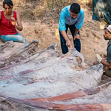 Σκελετός τεράστιου δεινοσαύρου ανακαλύφθηκε στην Πορτογαλία