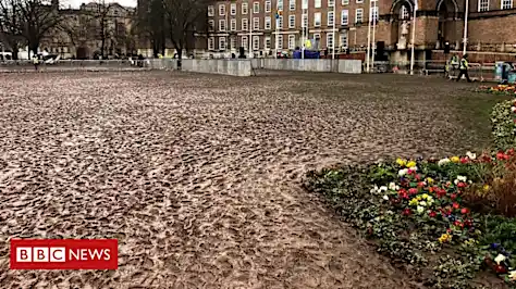 Greta Thunberg rally damaged green space